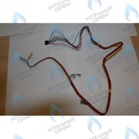 Проводка электрическая BAXI