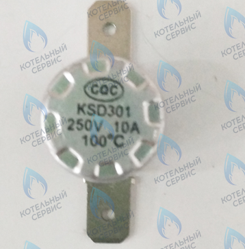 46360830 Термостат 100°С (silver) FERROLI в Казани