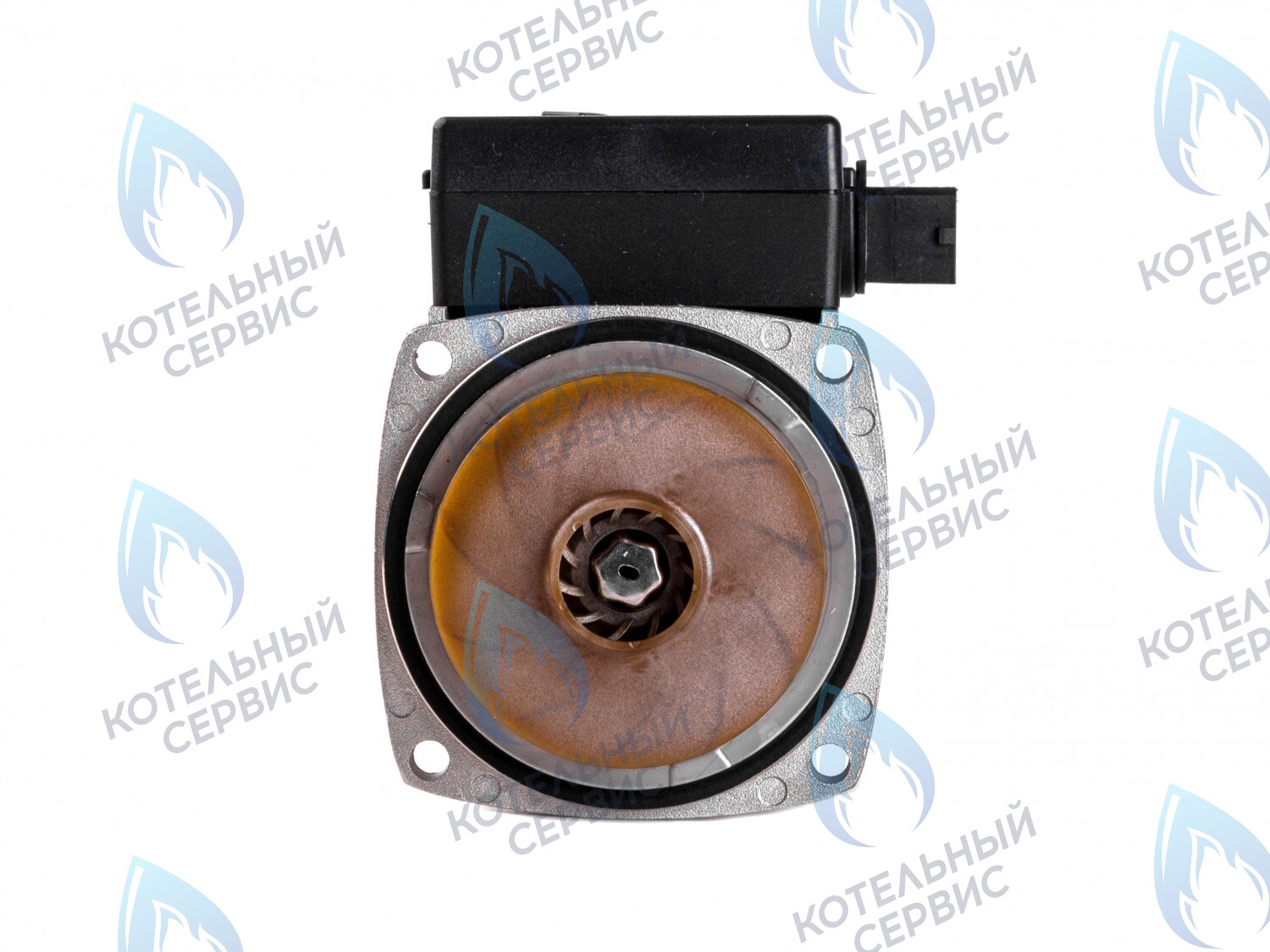 PH-E23CW50-ER95R Двигатель насоса (по часовой) ERCO DWP15-50-F Thermex (28300020, 28300010), ALPHATHERM (EC-036), FERROLI (PMF01AE50-ER95R, 902614160, 398063960, 398063950_CHIARI), Koreastar (KS90263950) в Казани