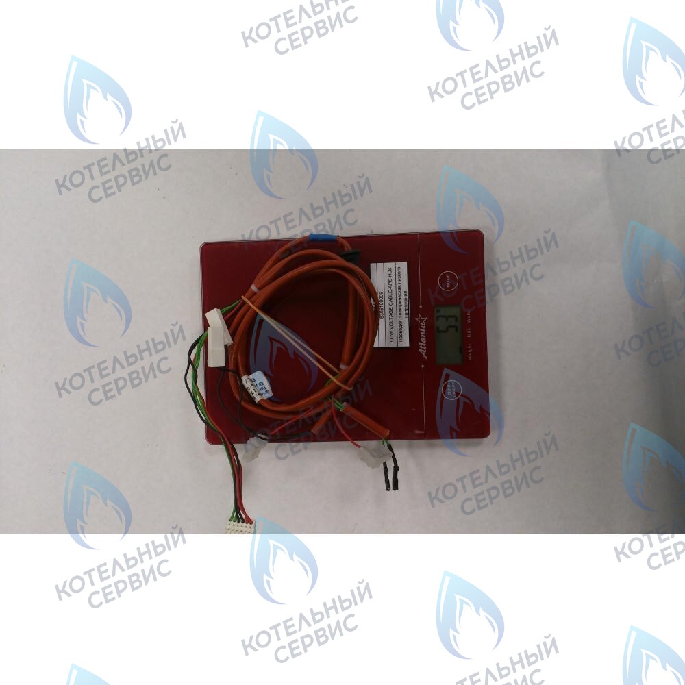 6305100009 Проводка  электрическая низкого  напряжения BAXI в Казани