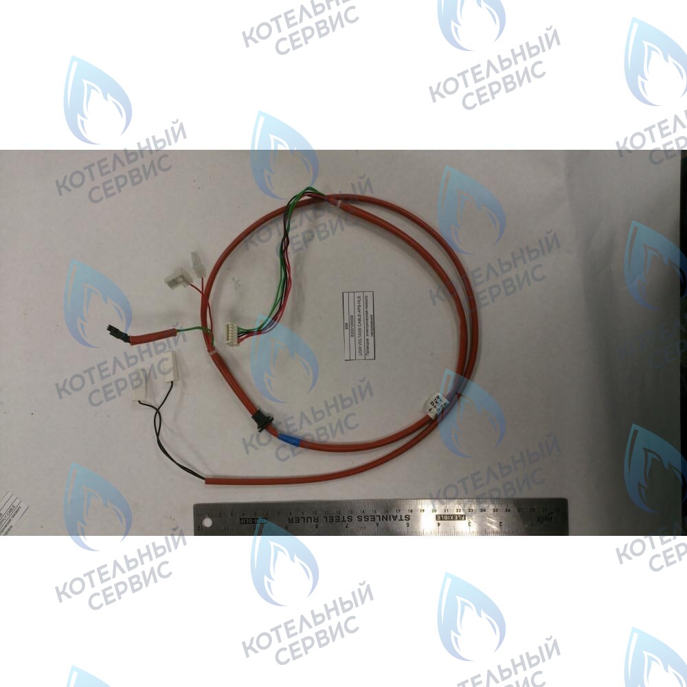 6305100009 Проводка  электрическая низкого  напряжения BAXI в Казани