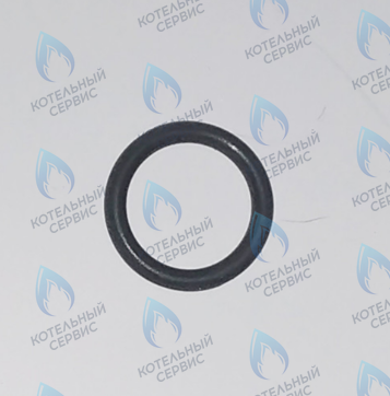 45560250 Кольцо уплотнительное FERROLI в Казани
