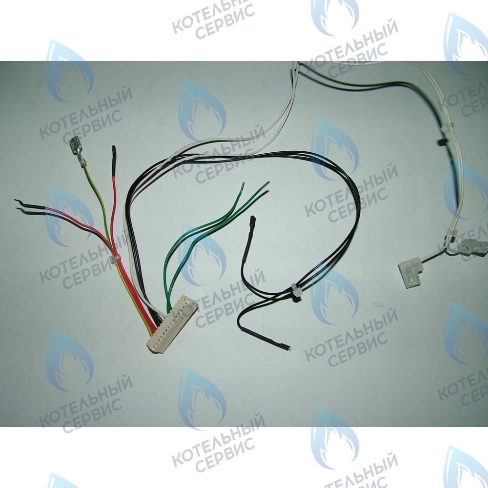 8513950 Проводка электрическая низковольтная (от разъема платы x5 к модулятору, клеммной колодке, реле минимального давления) BAXI в Казани