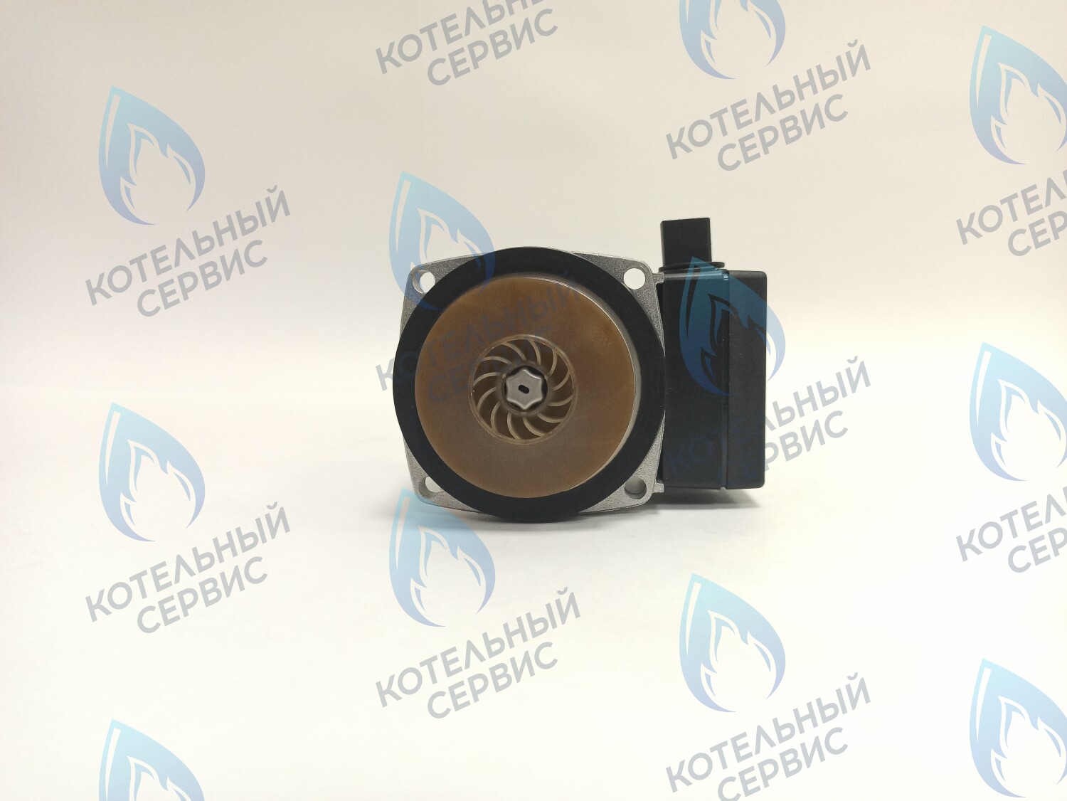 PH-W21CCW50-GR75BB Двигатель насоса GRUNDFOS 15-50 для котла BOSCH 6000/2000 & BUDERUS U072 в Казани