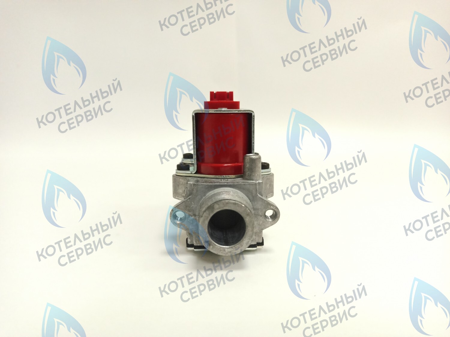 BI1373 100 Газовый клапан B&P (BI1373 100) BIASI в Казани