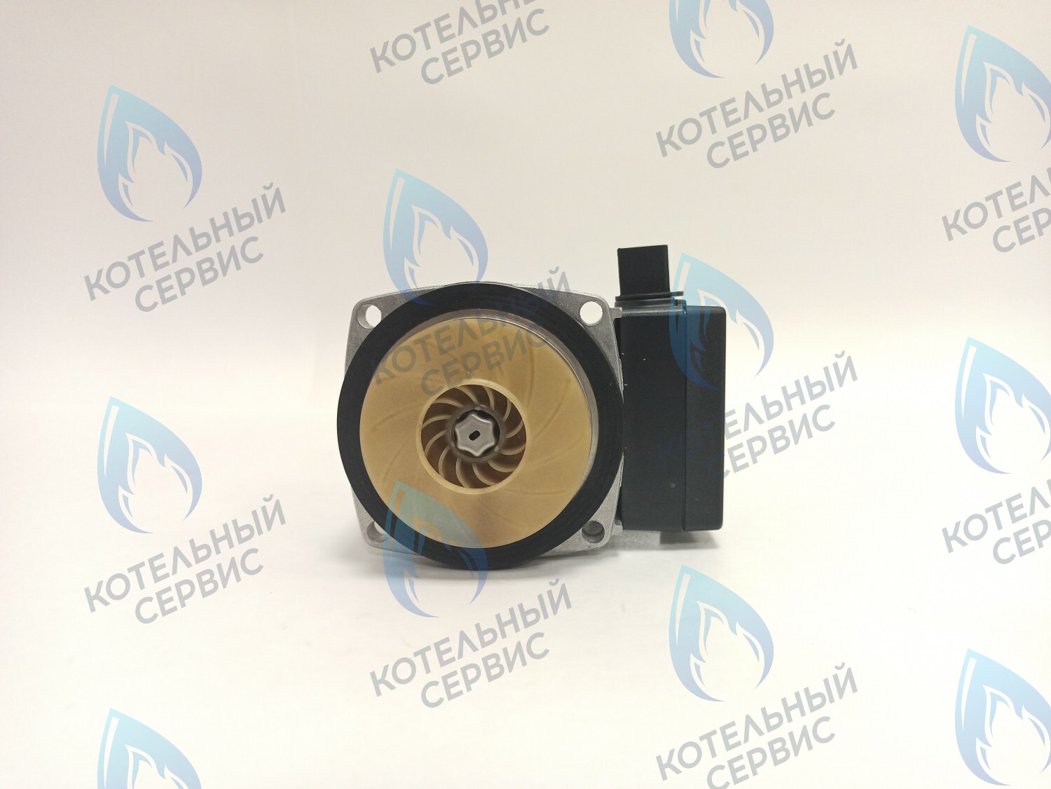 PH-W21CCW60-GR110BB Двигатель насоса GRUNDFOS 15-60 для котла BOSCH 6000/2000 & BUDERUS U072 в Казани