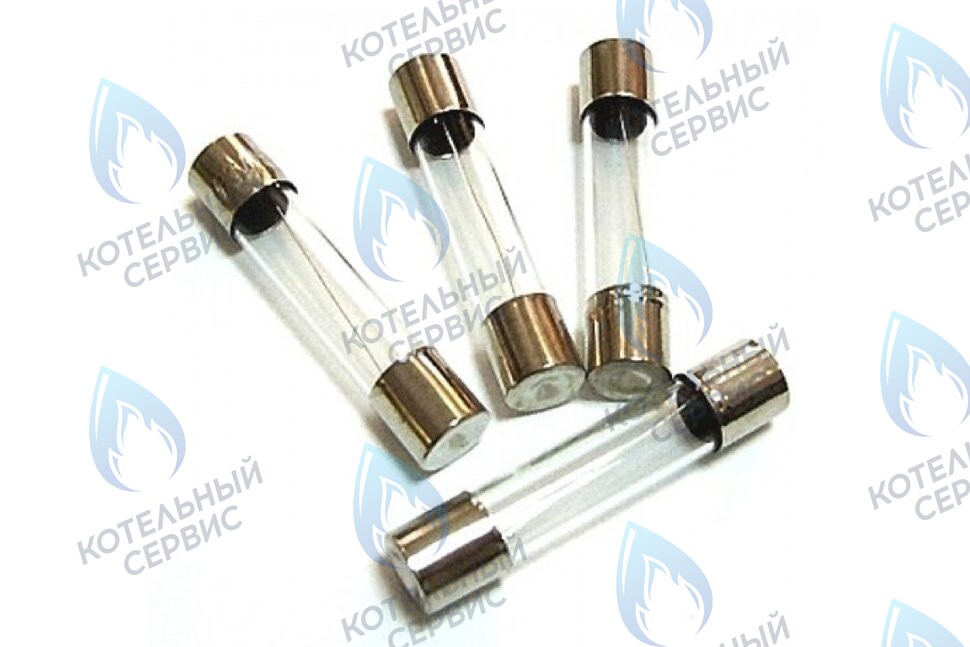 87160109140 Предохранитель (комплект 10шт) BUDERUS в Казани