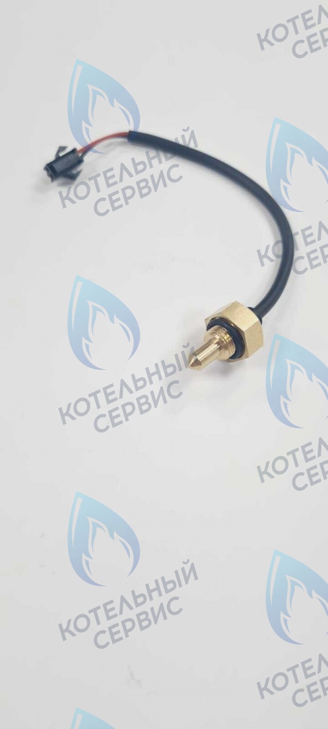 TS008-WP-10-02 Датчик температуры погружной G8 с проводом - папа Mizudo 10кОм в Казани