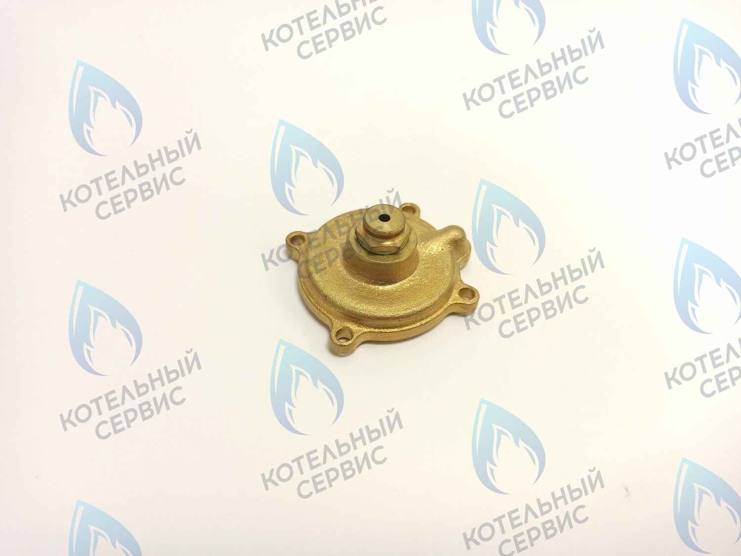 70102002 Крышка датчика давления в сборе ELECTROLUX в Казани