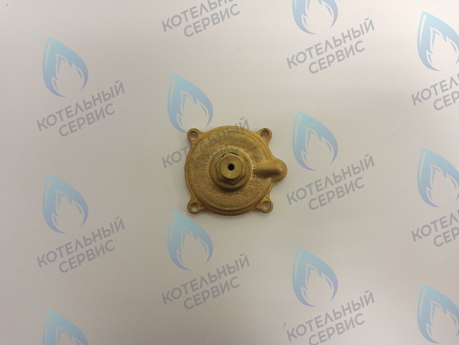 70102002 Крышка датчика давления в сборе ELECTROLUX в Казани