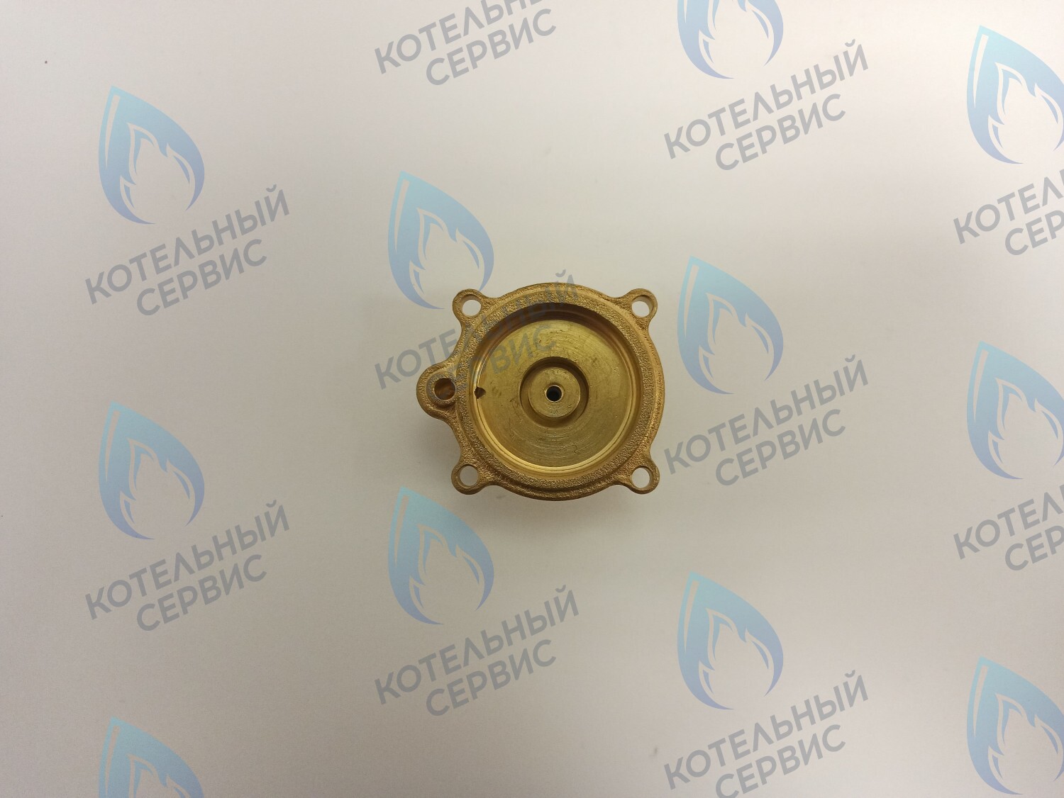 70102002 Крышка датчика давления в сборе ELECTROLUX в Казани