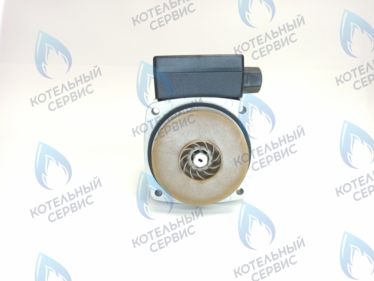 PH-G30CCW60-ER105 Двигатель насоса (против часовой) ERCO DWP15-60-A (без улитки) в Казани