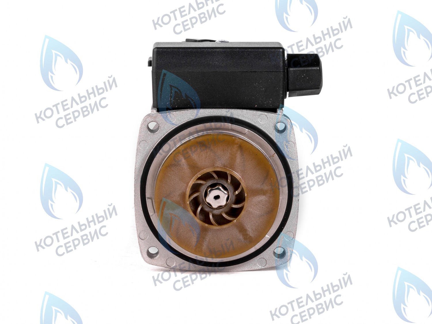 PH-G30CCW50-ER95 Двигатель насоса (против часовой) ERCO DWP15-50-A (без улитки) в Казани