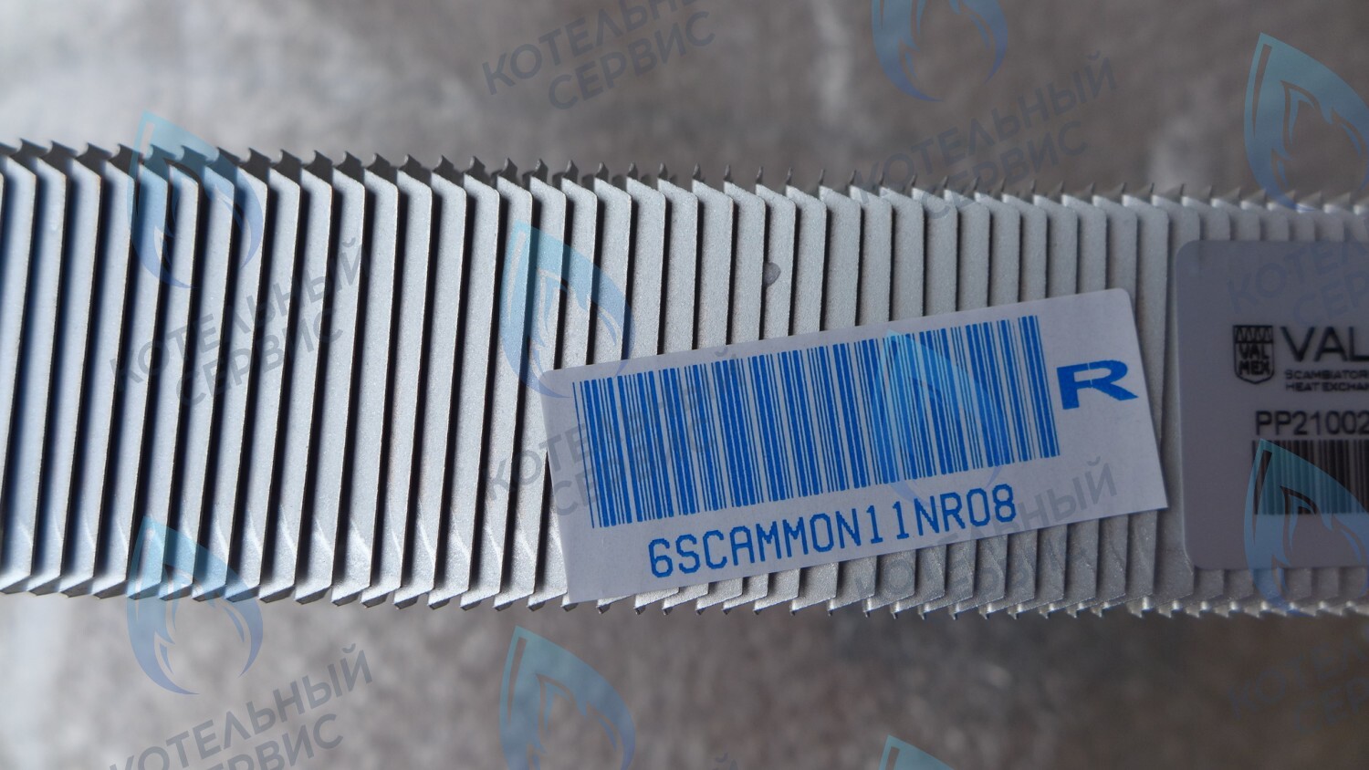 6SCAMMON11 Теплообменник первичный FONDITAL  Formentera CTFS-RTFS 28-32 в Казани