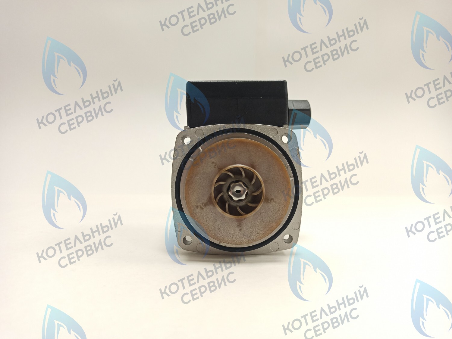 PH-G30CCW50-ER95-02 Двигатель насоса (против часовой) ERCO DWP15-50-A (без улитки) в Казани