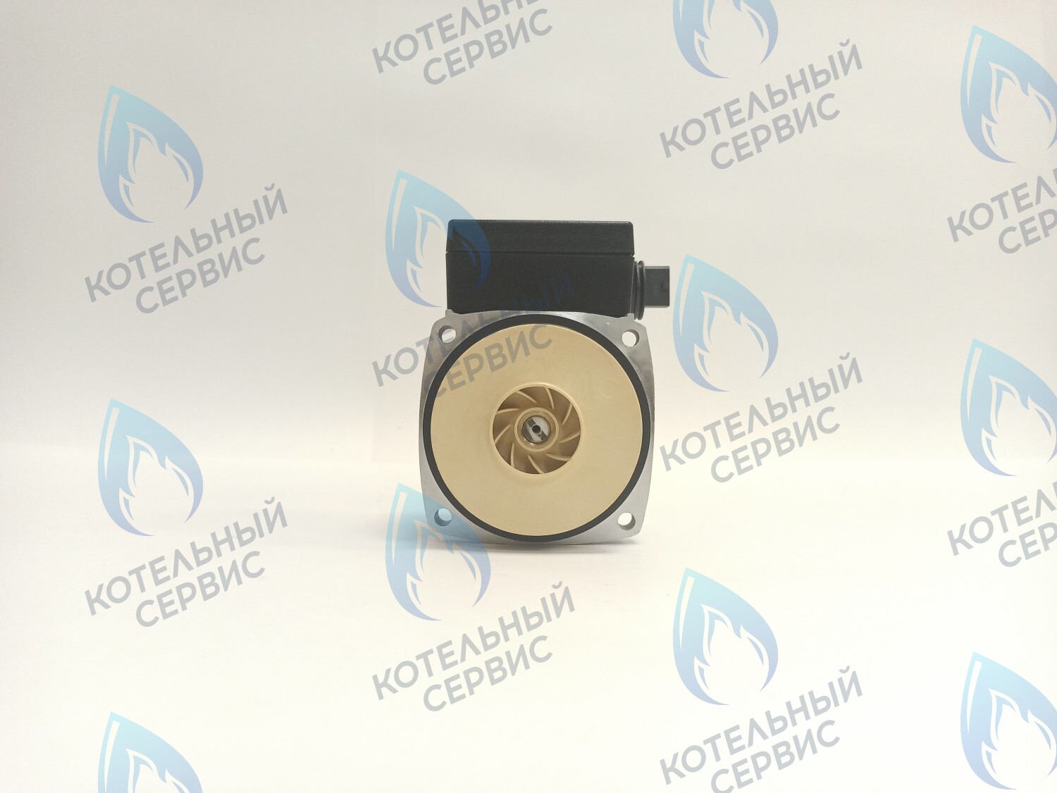 PH-P30CCW60-PR120 Двигатель насоса (против часовой) Protherm 15-60S (0020119604, 0020207146) в Казани