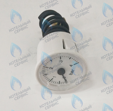 46360080 Манометр FERROLI в Казани