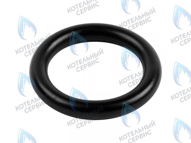 3080016 Кольцо уплотнительное насоса  CELTIC-DS PLATINUM (все модели) (3080016) в Казани