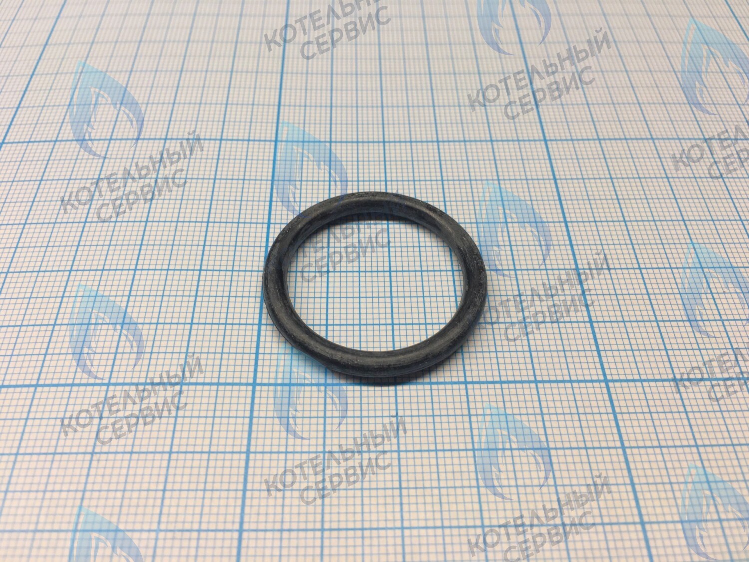 3080016 Кольцо уплотнительное насоса  CELTIC-DS PLATINUM (все модели) (3080016) в Казани