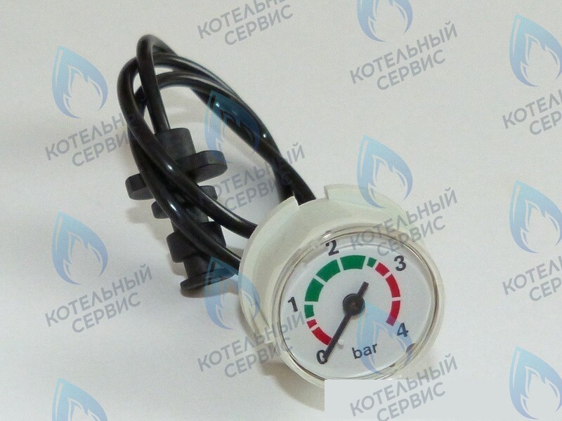 87186457920 Манометр с трубкой BUDERUS в Казани