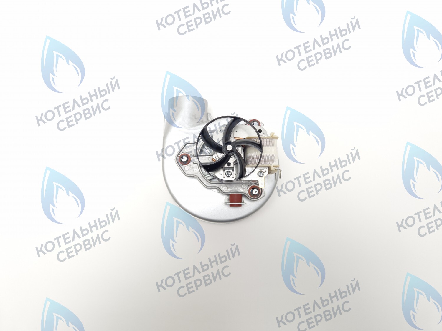 7733818 Вентилятор BAXI ECO LIFE 31F в Казани