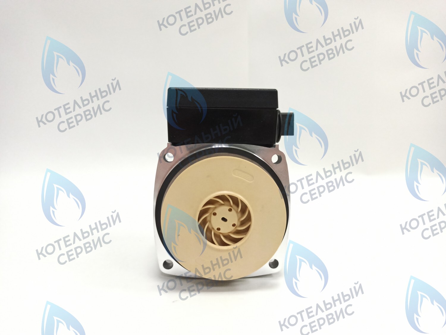 PH-P30CCW60-GB120 Двигатель насоса (против часовой) DD15-60 для Protherm (0020119604, 0020207146) в Казани