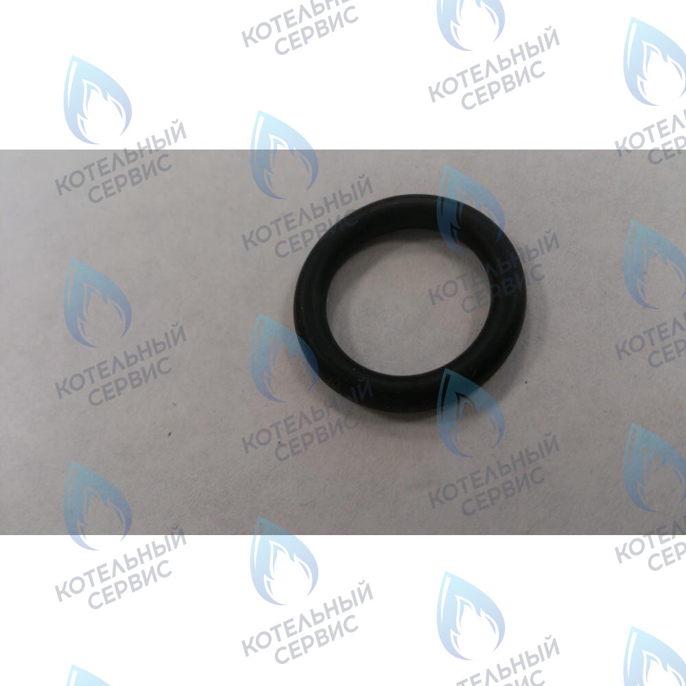 6399440050 Уплотнение кольцевое 3X14X20 BAXI в Казани