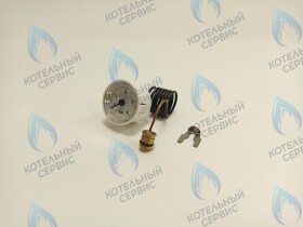 Манометр Ferroli Diva, Domina N (39820080, 36402610, 36402190)