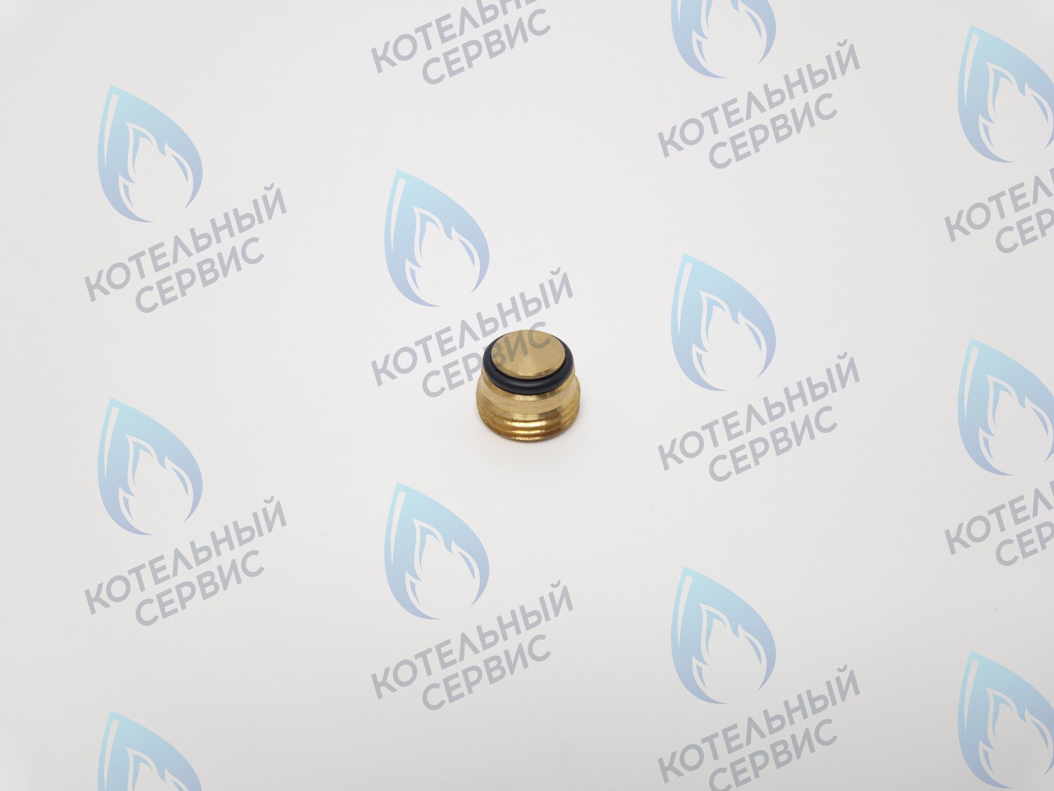 GVP020 Заглушка на клапан Sit 630 (0.972.061) в Казани
