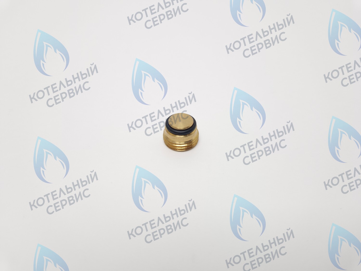 GVP020 Заглушка на клапан Sit 630 (0.972.061) в Казани