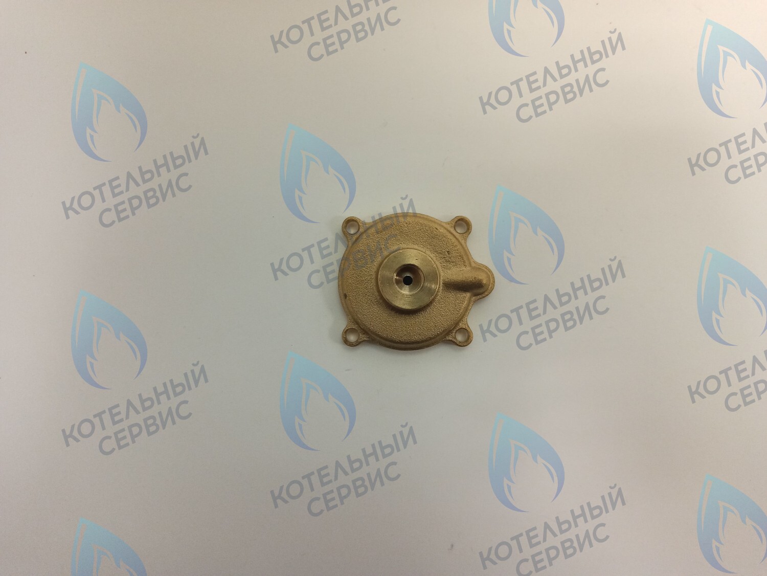 50101027 Крышка датчика протока (50101027) ELECTROLUX в Казани