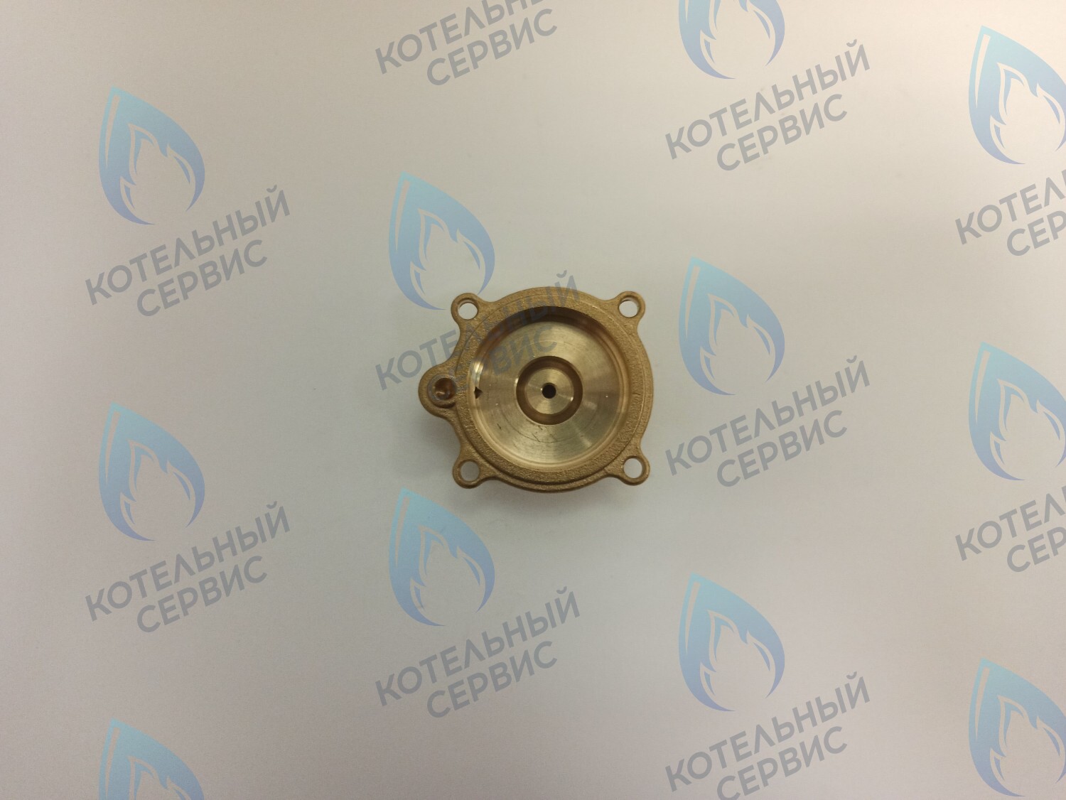 50101027 Крышка датчика протока (50101027) ELECTROLUX в Казани