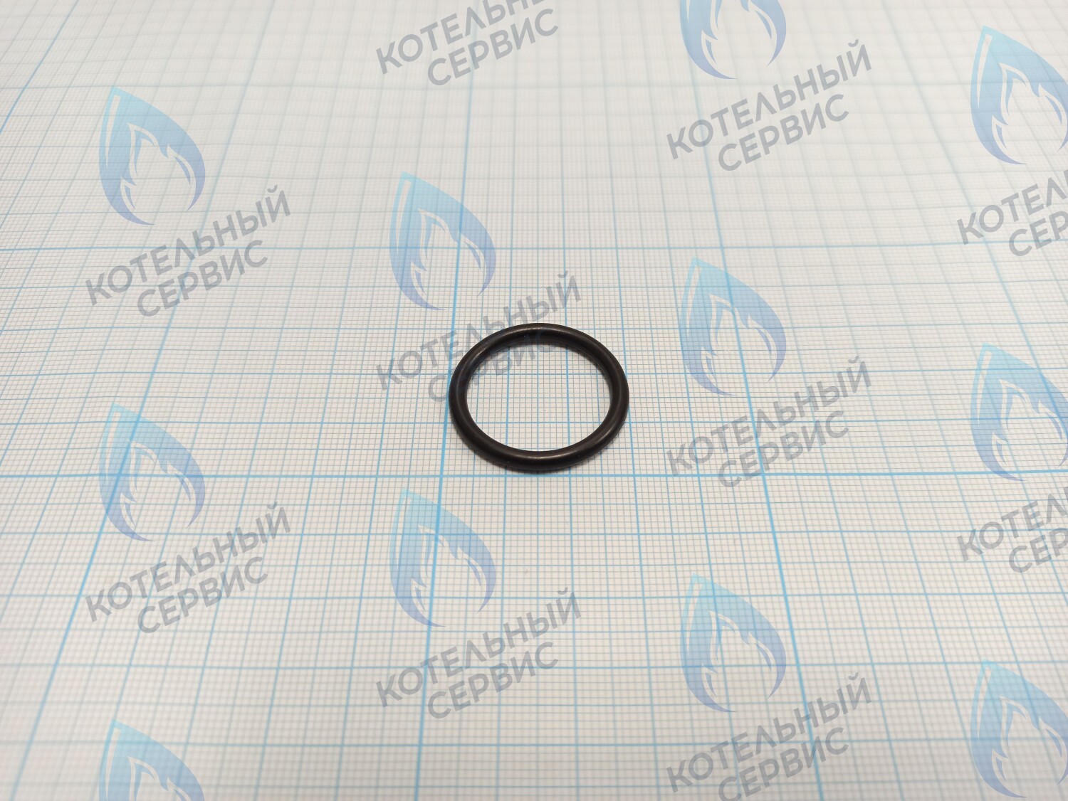 T10120-12 Прокладка 23.6X2.65 ROC в Казани