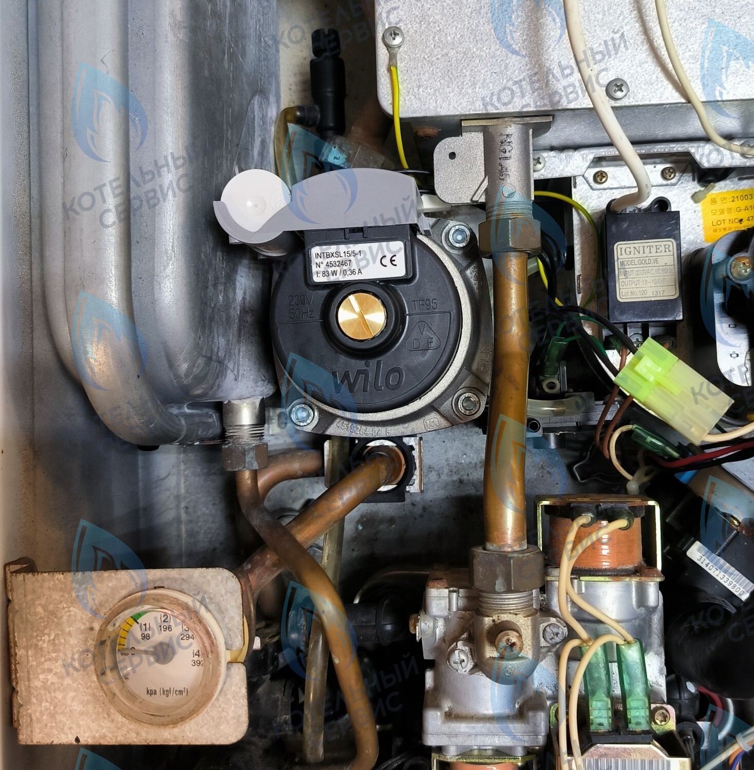 PMDS1AW50-WA82DS-Комп Насос циркуляционный 5м для MASTER GAS SEOUL 11-24 (2050118, 2050130), DAESUNG A16-24 (52050118, 52050130), ARDERIA 2.13-20, CELTIC-DS 3.13-3.20 (2050118, 2050130) в Казани