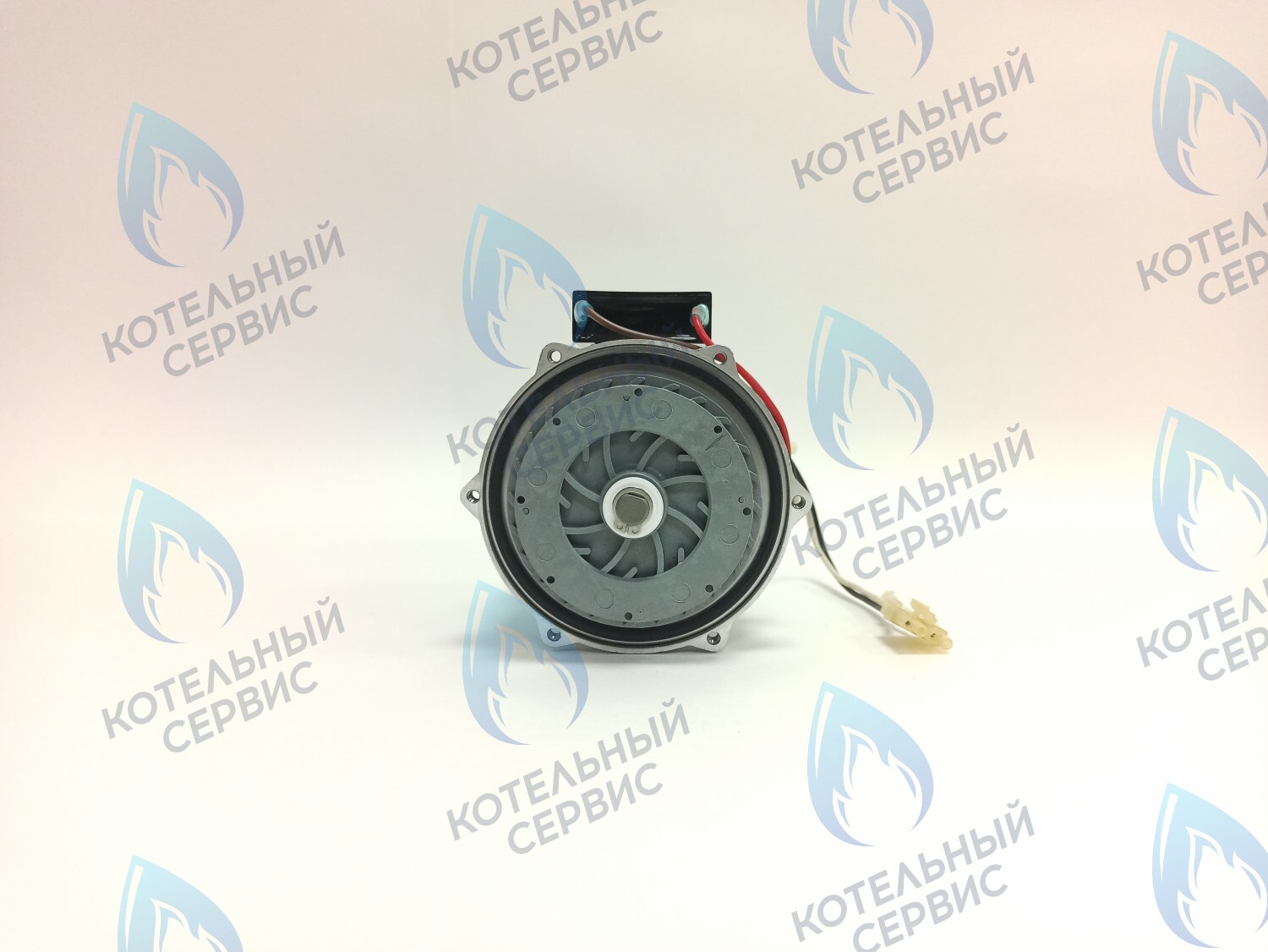 PH-S46CW73-CS77 Двигатель насоса (без улитки, с прокладкой) 77w GRUNDFOS CS-0108DSB ARDERIA 2.13-20, CELTIC-DS 3.13-3.20, MASTER GAS SEOUL 11-21, DAESUNG A16-24 в Казани