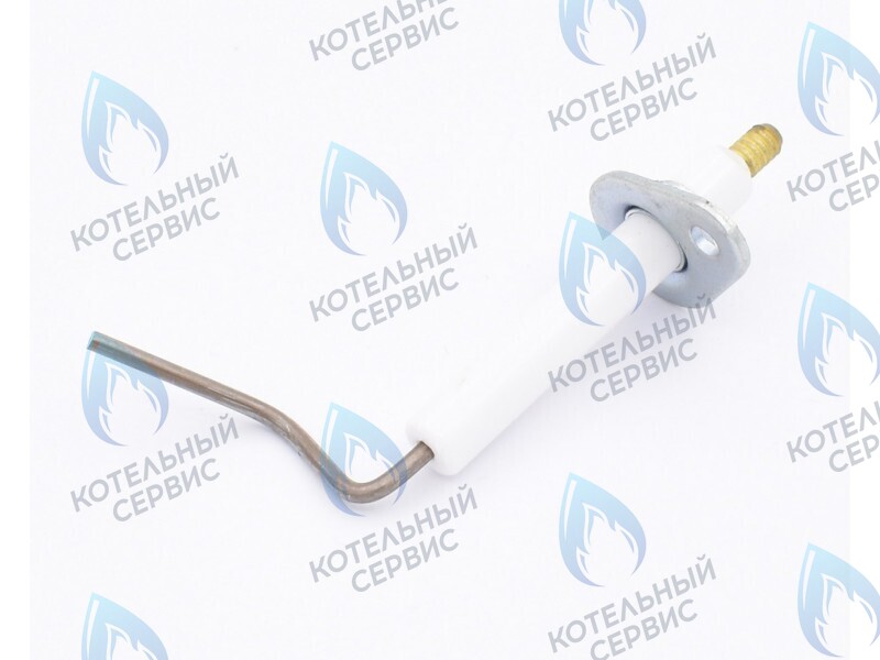 0020097415 Электрод ионизации Protherm Леопард 24 MTM-CC/1 (H-RU) в Казани