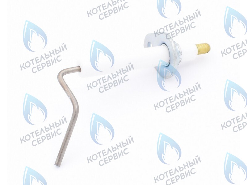 0020097415 Электрод ионизации Protherm Леопард 24 MTM-CC/1 (H-RU) в Казани